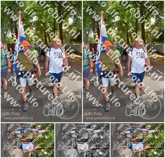 Evenement foto: Nijmeegse Vierdaagse 779