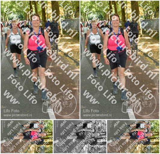 Evenement foto: Nijmeegse Vierdaagse 779