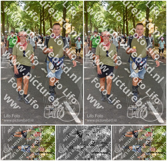 Evenement foto: Nijmeegse Vierdaagse 779