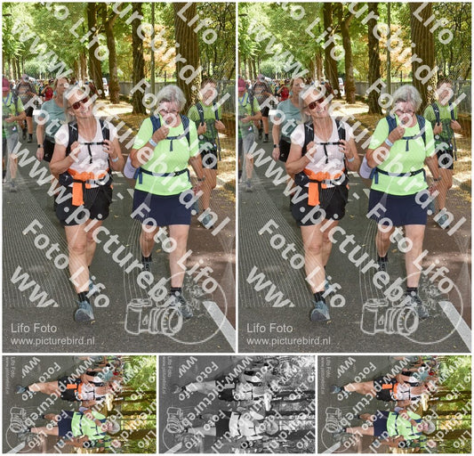 Evenement foto: Nijmeegse Vierdaagse 779
