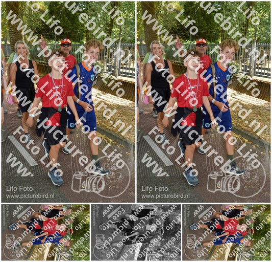 Evenement foto: Nijmeegse Vierdaagse 779