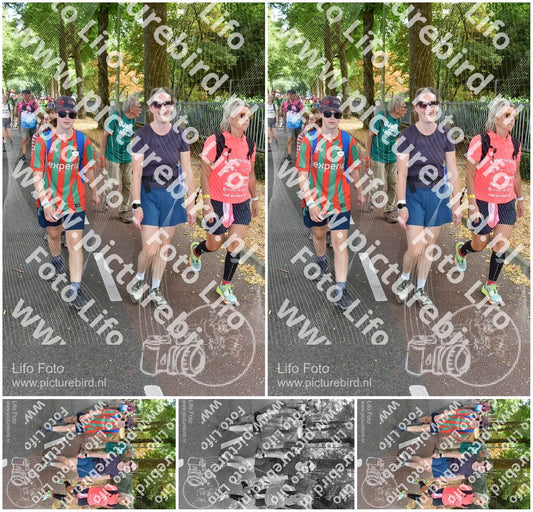 Evenement foto: Nijmeegse Vierdaagse 779