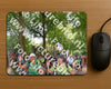 Evenement foto: Nijmeegse Vierdaagse 779