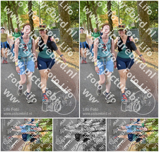 Evenement foto: Nijmeegse Vierdaagse 778