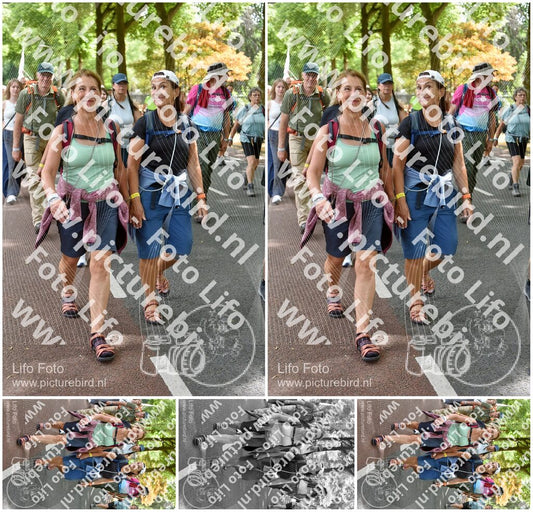 Evenement foto: Nijmeegse Vierdaagse 778