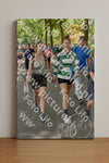 Evenement foto: Nijmeegse Vierdaagse 778