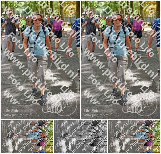 Evenement foto: Nijmeegse Vierdaagse 778
