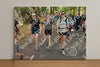 Evenement foto: Nijmeegse Vierdaagse 778