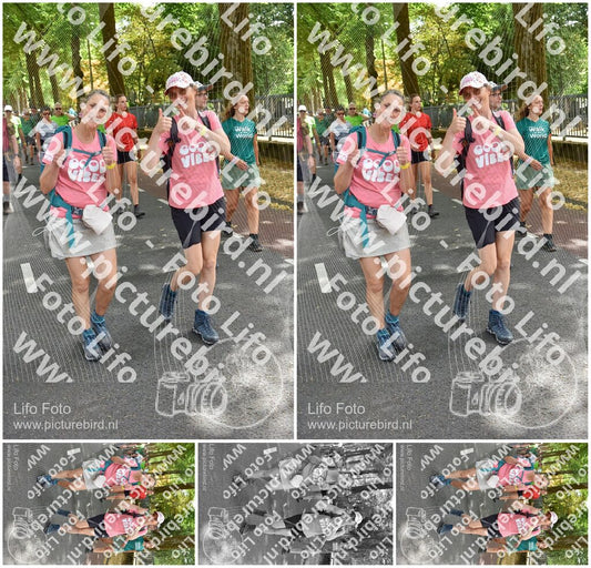 Evenement foto: Nijmeegse Vierdaagse 778
