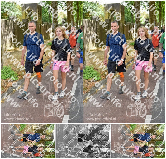 Evenement foto: Nijmeegse Vierdaagse 778