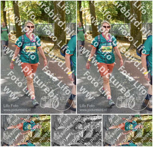 Evenement foto: Nijmeegse Vierdaagse 778