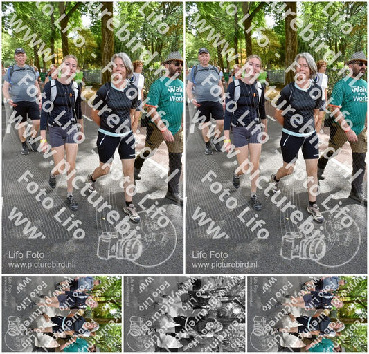 Evenement foto: Nijmeegse Vierdaagse 778