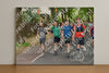 Evenement foto: Nijmeegse Vierdaagse 778