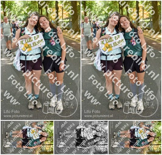 Evenement foto: Nijmeegse Vierdaagse 778