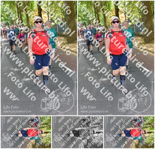 Evenement foto: Nijmeegse Vierdaagse 778