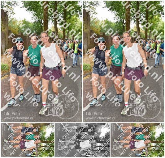 Evenement foto: Nijmeegse Vierdaagse 778