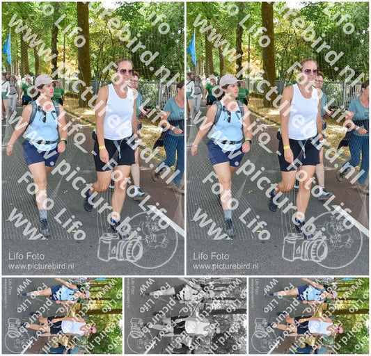 Evenement foto: Nijmeegse Vierdaagse 778