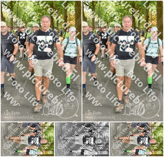 Evenement foto: Nijmeegse Vierdaagse 778
