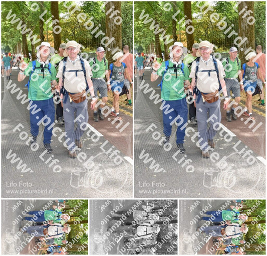 Evenement foto: Nijmeegse Vierdaagse 778