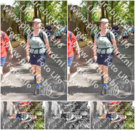 Evenement foto: Nijmeegse Vierdaagse 778