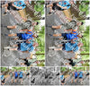 Evenement foto: Nijmeegse Vierdaagse 777