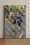 Evenement foto: Nijmeegse Vierdaagse 777