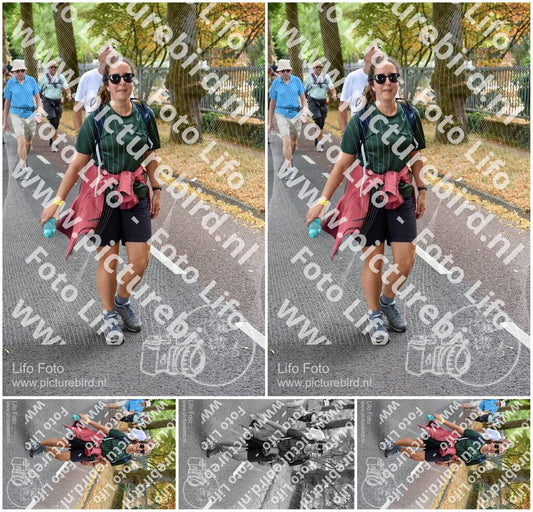 Evenement foto: Nijmeegse Vierdaagse 777