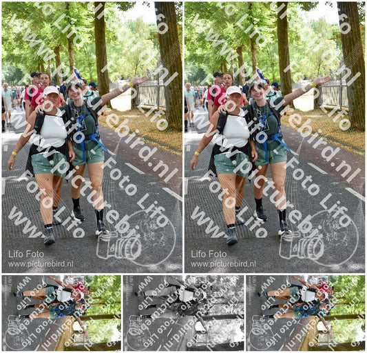 Evenement foto: Nijmeegse Vierdaagse 777