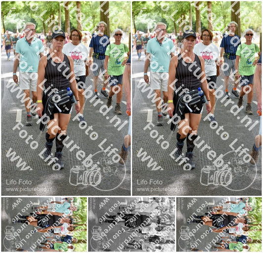 Evenement foto: Nijmeegse Vierdaagse 777