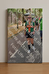 Evenement foto: Nijmeegse Vierdaagse 777