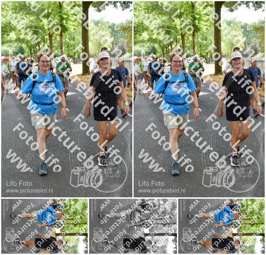 Evenement foto: Nijmeegse Vierdaagse 777