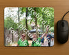 Evenement foto: Nijmeegse Vierdaagse 777