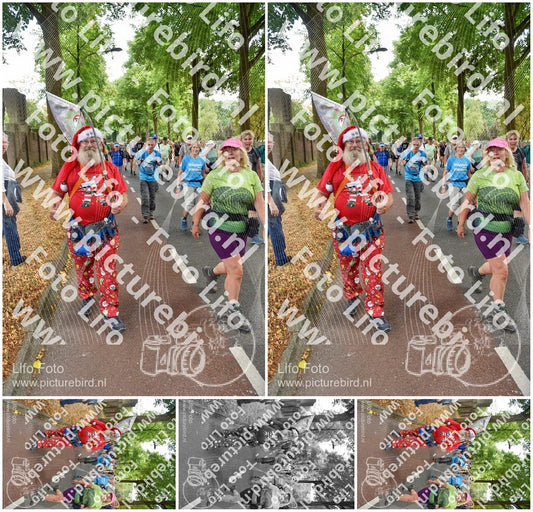 Evenement foto: Nijmeegse Vierdaagse 777