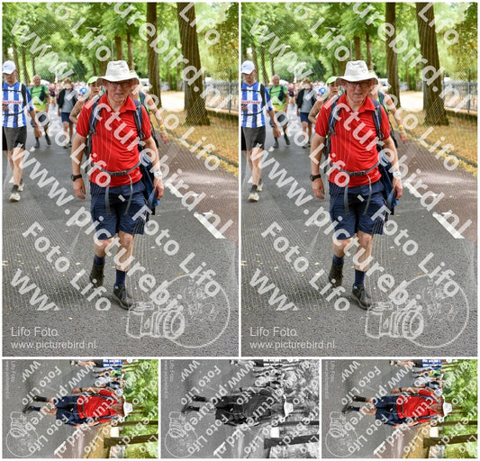 Evenement foto: Nijmeegse Vierdaagse 776