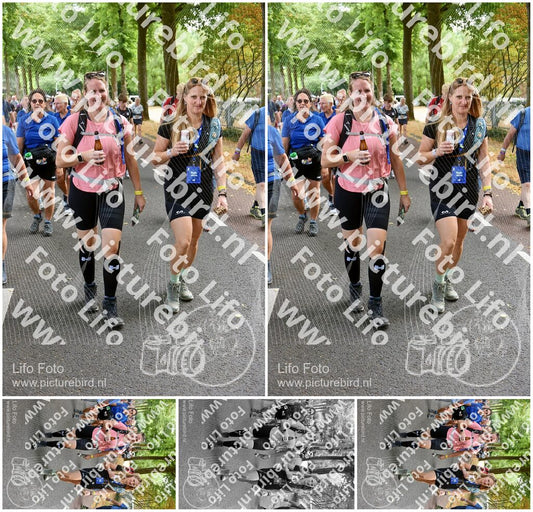 Evenement foto: Nijmeegse Vierdaagse 776