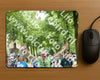 Evenement foto: Nijmeegse Vierdaagse 776