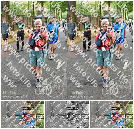 Evenement foto: Nijmeegse Vierdaagse 776