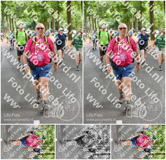 Evenement foto: Nijmeegse Vierdaagse 776