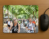 Evenement foto: Nijmeegse Vierdaagse 776