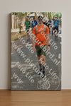 Evenement foto: Nijmeegse Vierdaagse 776