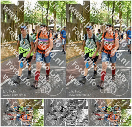 Evenement foto: Nijmeegse Vierdaagse 776