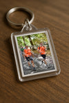 Evenement foto: Nijmeegse Vierdaagse 776