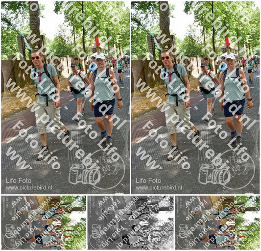 Evenement foto: Nijmeegse Vierdaagse 776