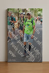 Evenement foto: Nijmeegse Vierdaagse 776