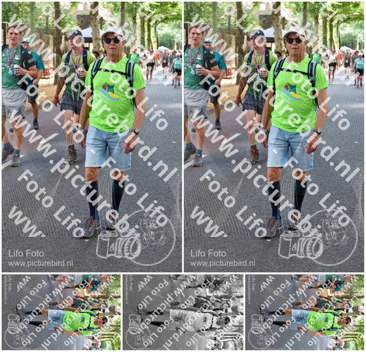 Evenement foto: Nijmeegse Vierdaagse 776