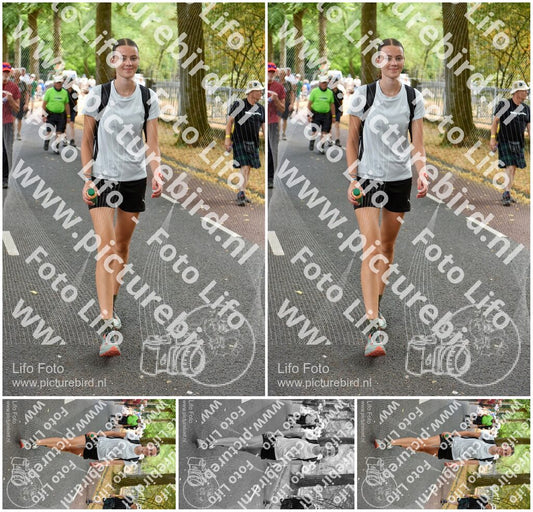 Evenement foto: Nijmeegse Vierdaagse 776