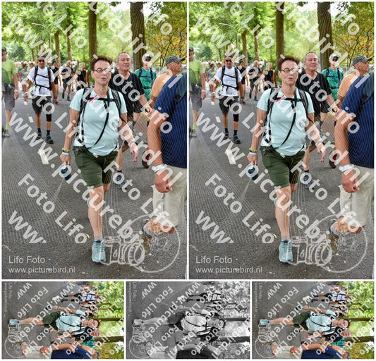 Evenement foto: Nijmeegse Vierdaagse 776