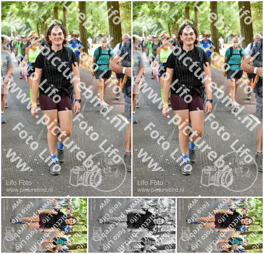 Evenement foto: Nijmeegse Vierdaagse 776
