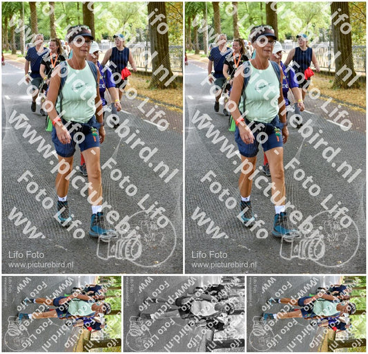 Evenement foto: Nijmeegse Vierdaagse 775