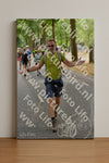 Evenement foto: Nijmeegse Vierdaagse 775